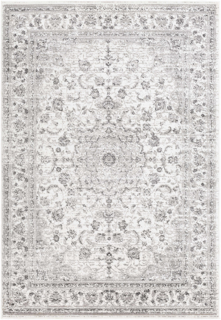 Chicota Traditional Style Ivory And Gray Area Rug