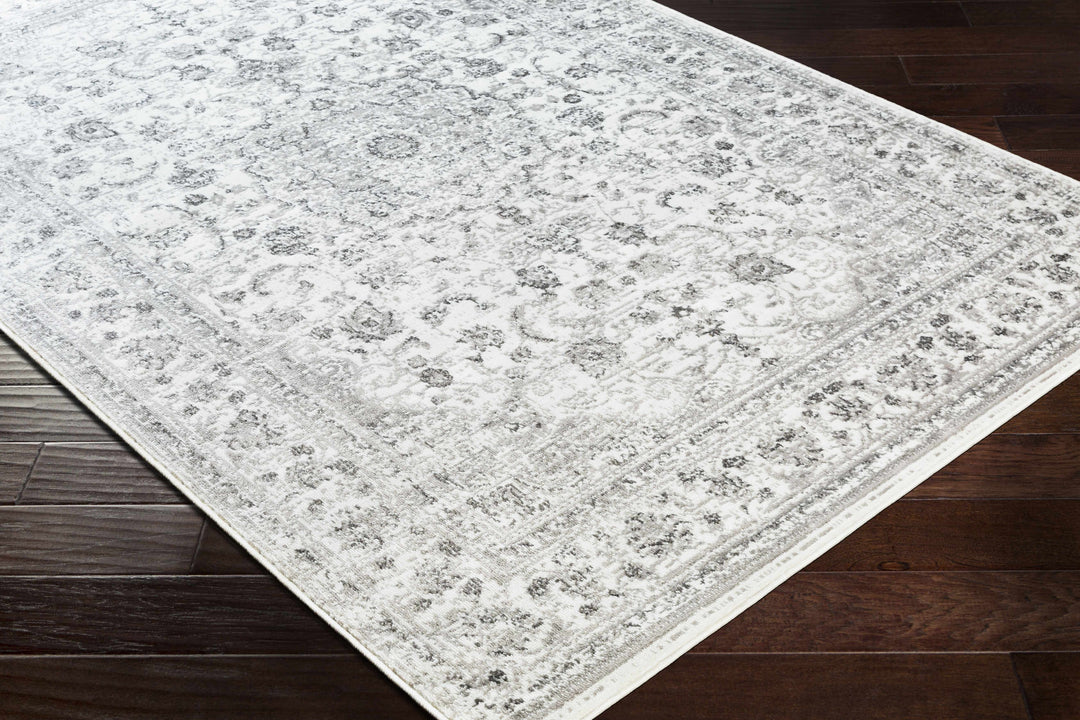 Chicota Traditional Style Ivory And Gray Area Rug