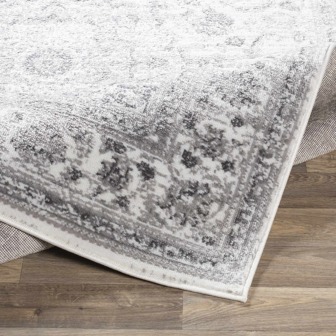 Chicota Traditional Style Ivory And Gray Area Rug
