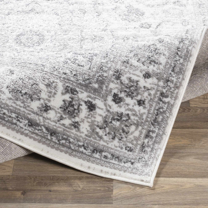 Chicota Traditional Style Ivory And Gray Area Rug