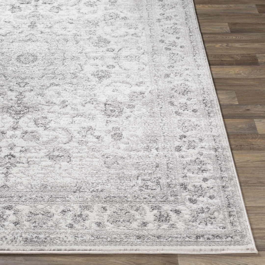 Chicota Traditional Style Ivory And Gray Area Rug