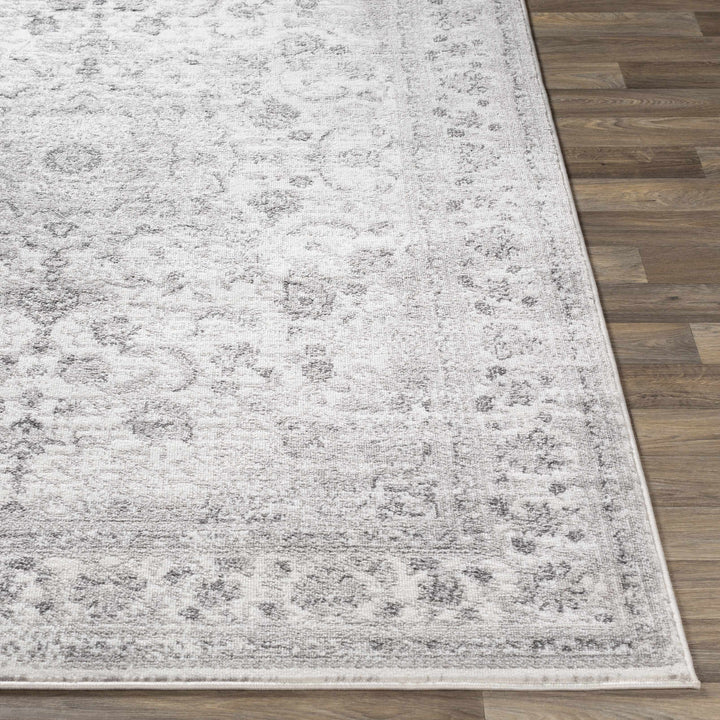 Chicota Traditional Style Ivory And Gray Area Rug