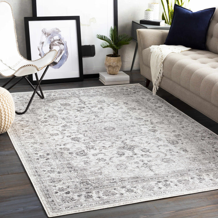 Chicota Traditional Style Ivory And Gray Area Rug