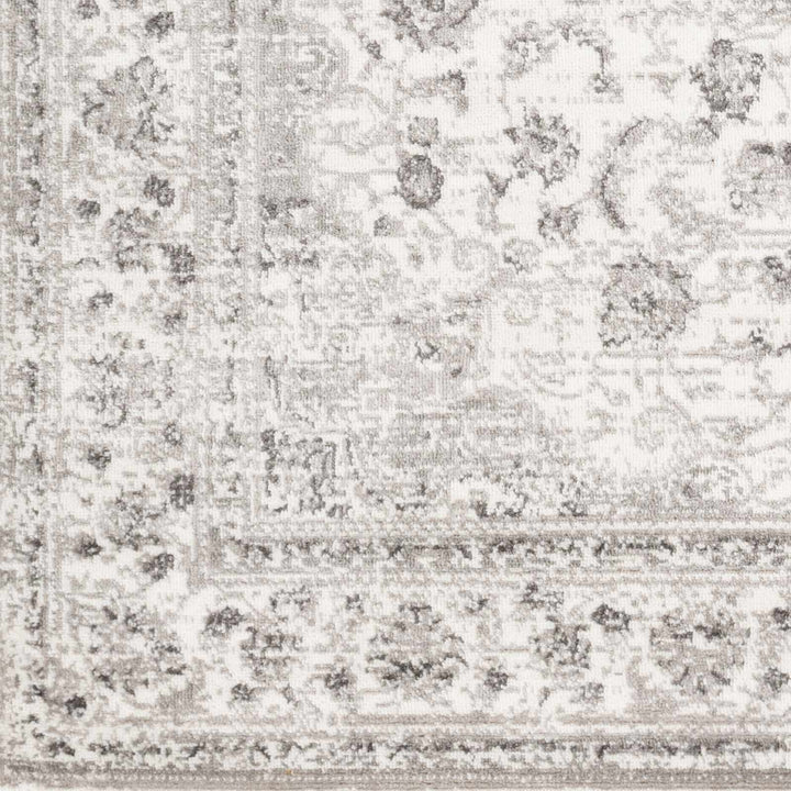 Chicota Traditional Style Ivory And Gray Area Rug