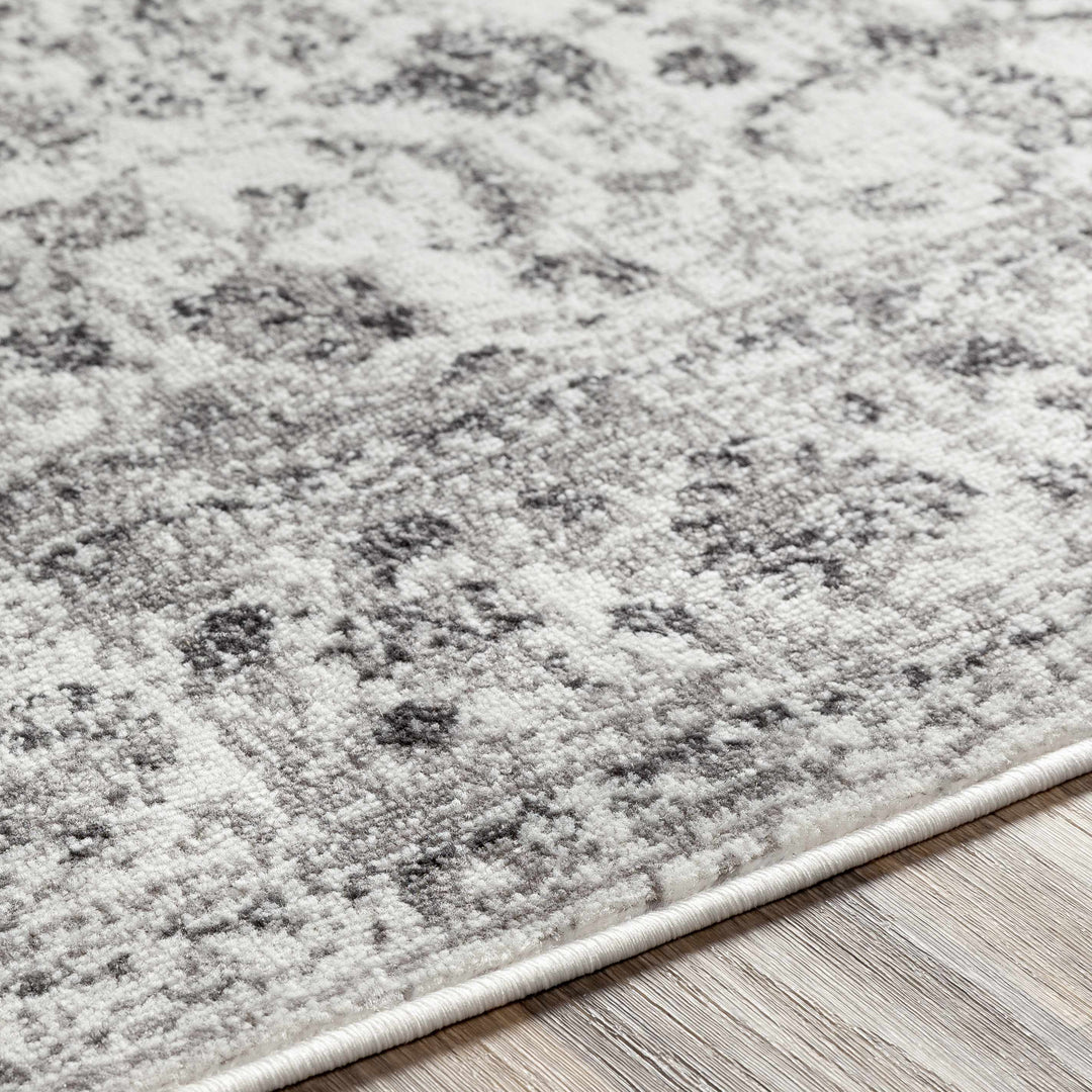 Chicota Traditional Style Ivory And Gray Area Rug