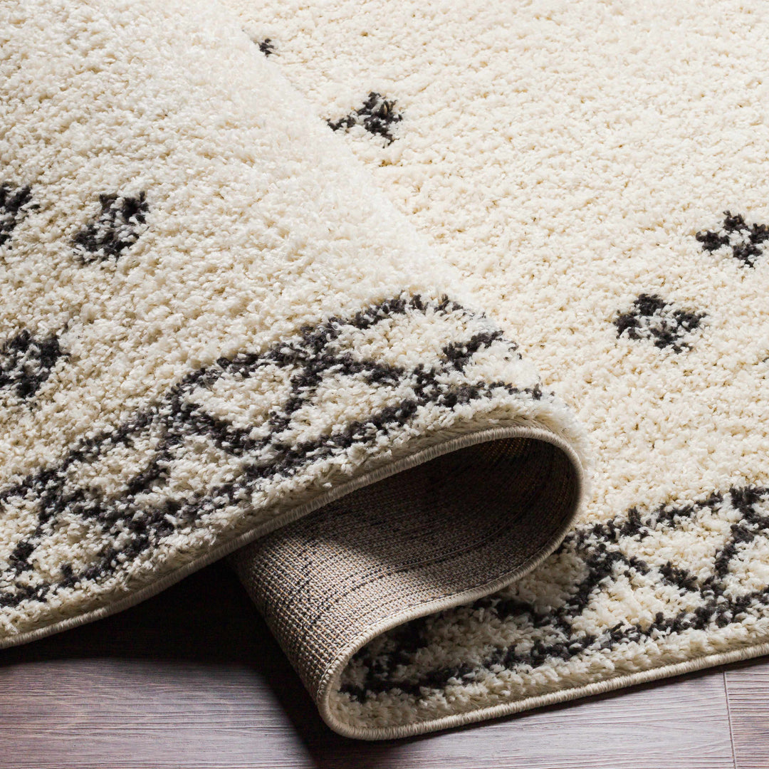 Cheam Modern Style Ivory And Charcoal Area Rug