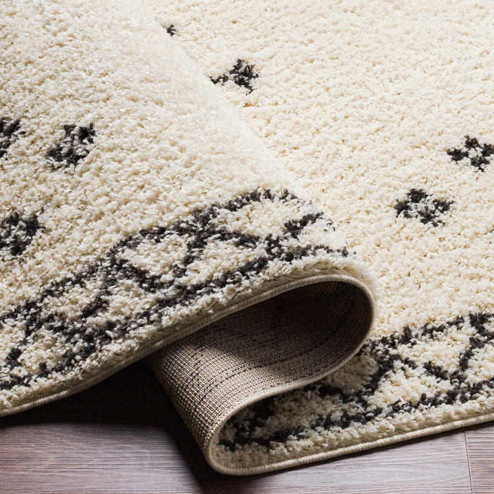 Cheam Modern Style Ivory And Charcoal Area Rug