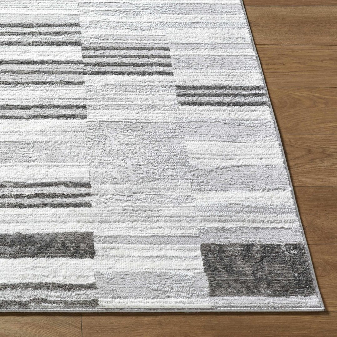 Chiaki Contemporary Style Gray And Ivory Area Rug - The Rug Decor