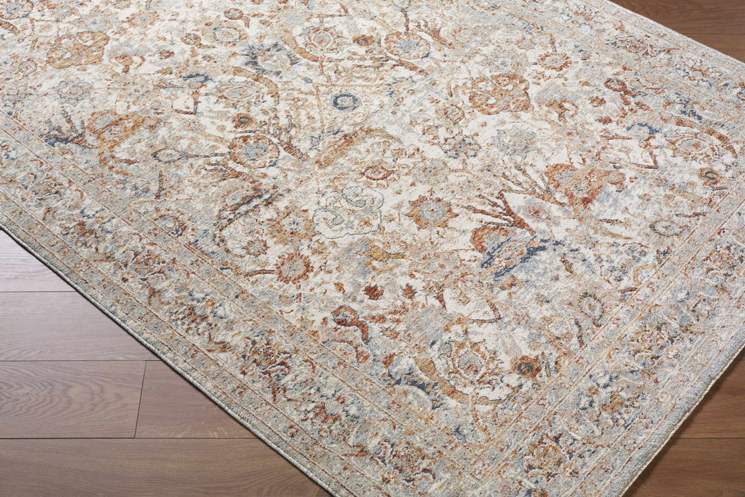 Chikao Traditional Style Beige And Brown Area Rug - The Rug Decor