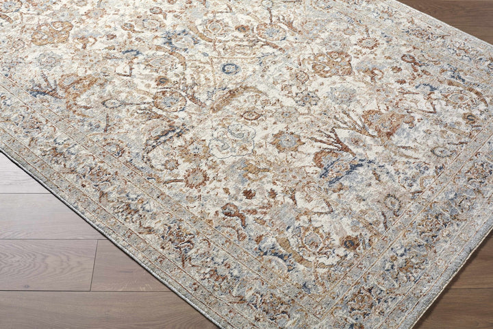 Chikao Traditional Style Beige And Brown Area Rug - The Rug Decor