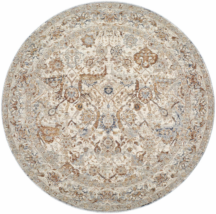 Chikao Traditional Style Beige And Brown Area Rug - The Rug Decor