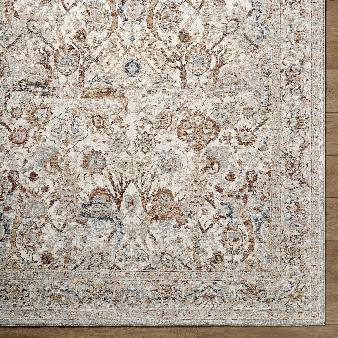 Chikao Traditional Style Beige And Brown Area Rug - The Rug Decor