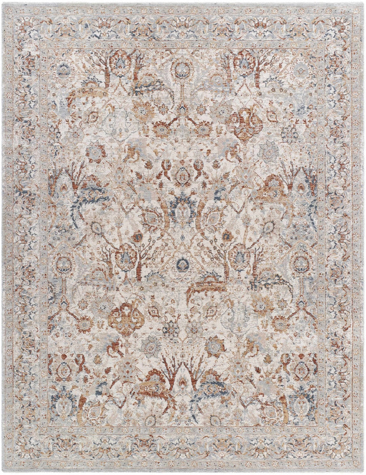 Chikao Traditional Style Beige And Brown Area Rug - The Rug Decor