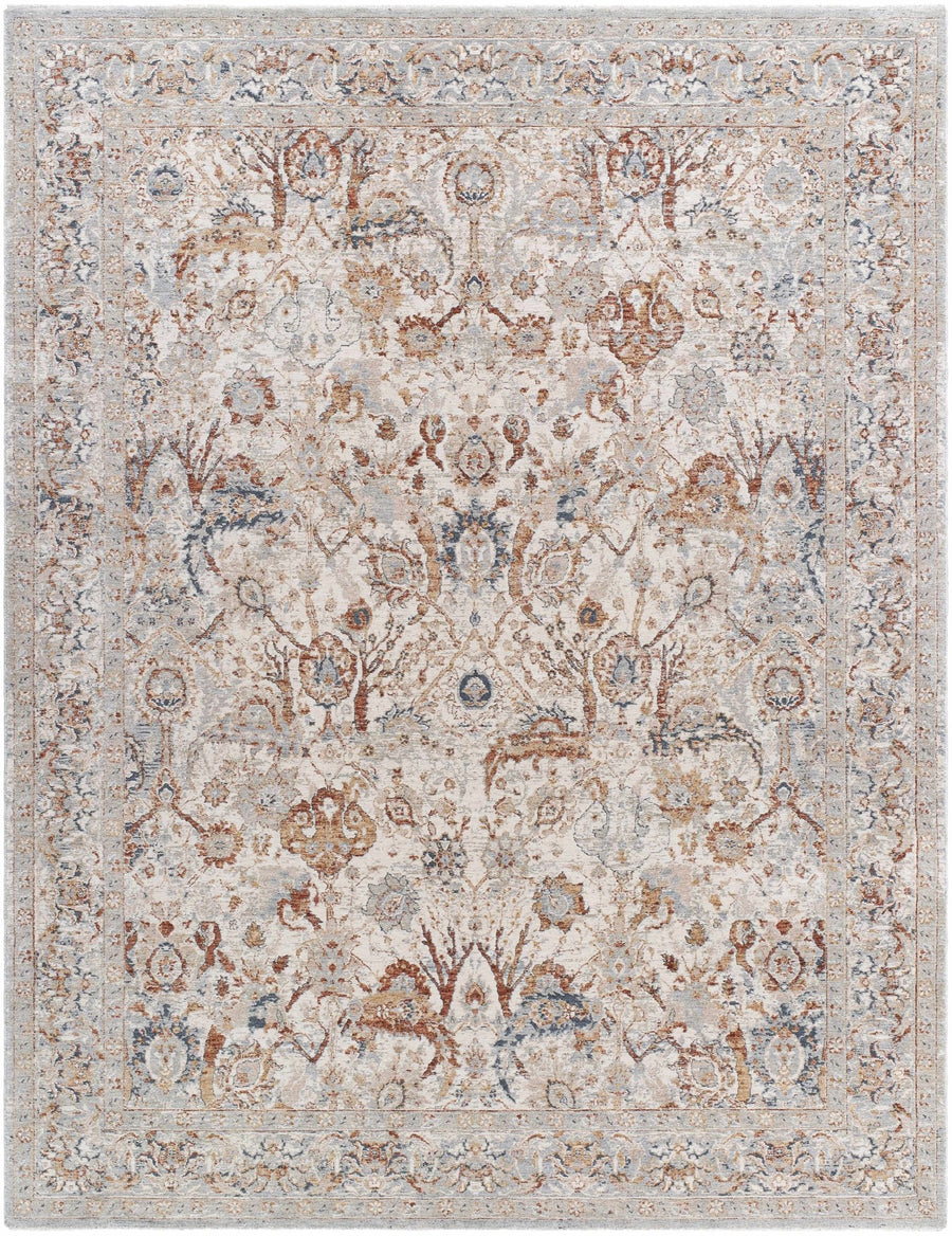 Chikao Traditional Style Beige And Brown Area Rug - The Rug Decor