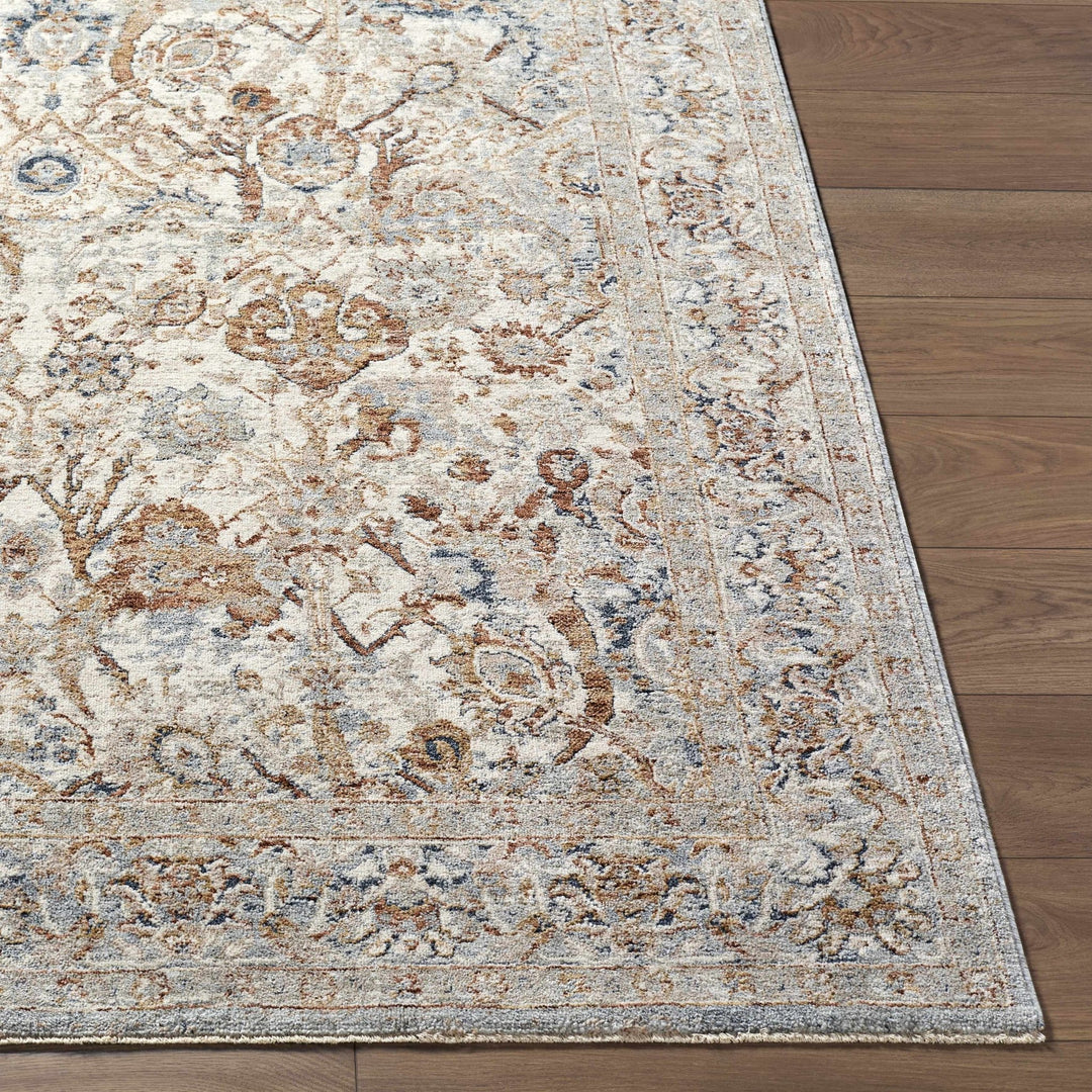 Chikao Traditional Style Beige And Brown Area Rug - The Rug Decor