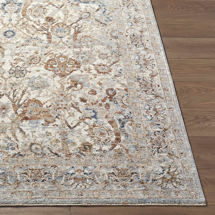 Chikao Traditional Style Beige And Brown Area Rug - The Rug Decor