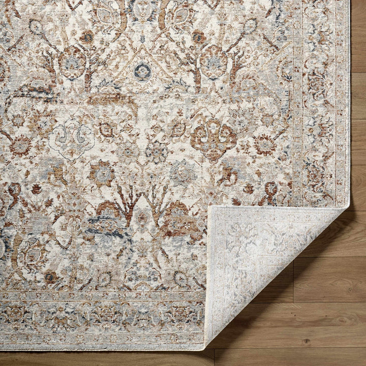 Chikao Traditional Style Beige And Brown Area Rug - The Rug Decor
