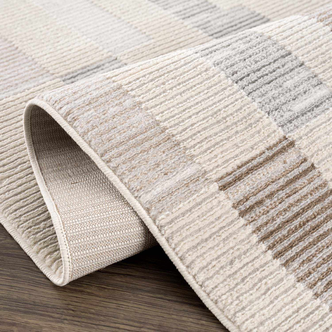 Chouko Contemporary Abstract Beige And Gray Rug - The Rug Decor