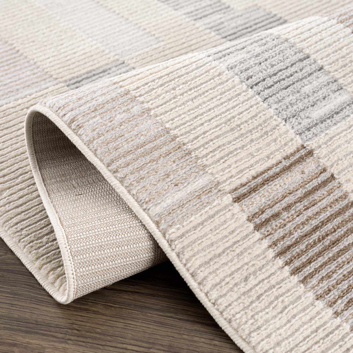 Chouko Contemporary Abstract Beige And Gray Rug - The Rug Decor