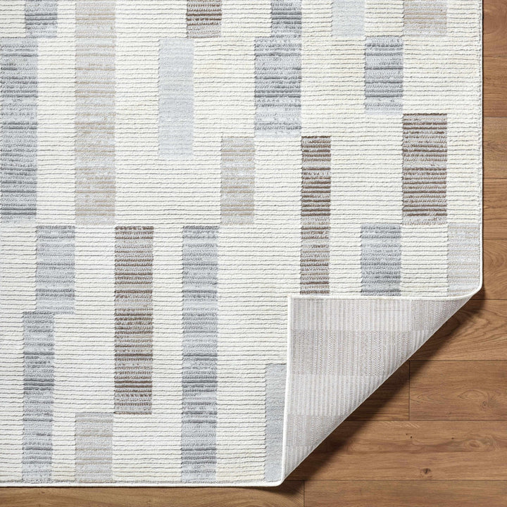 Chouko Contemporary Abstract Beige And Gray Rug - The Rug Decor