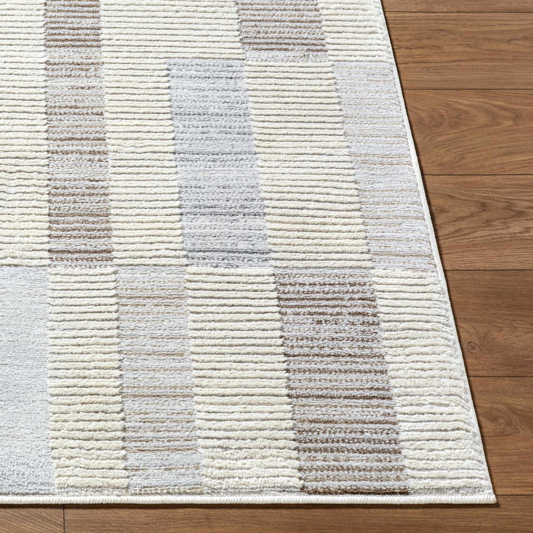Chouko Contemporary Abstract Beige And Gray Rug - The Rug Decor