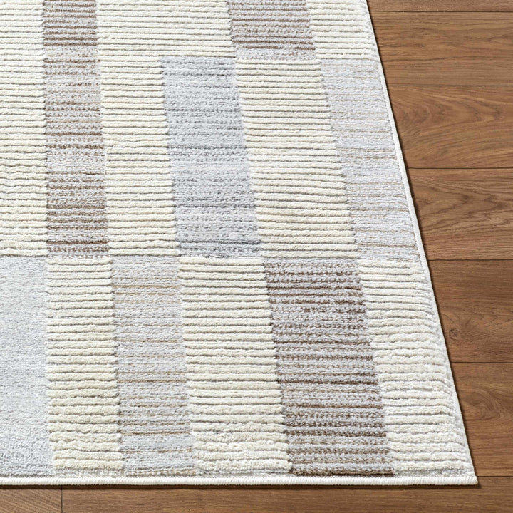 Chouko Contemporary Abstract Beige And Gray Rug - The Rug Decor