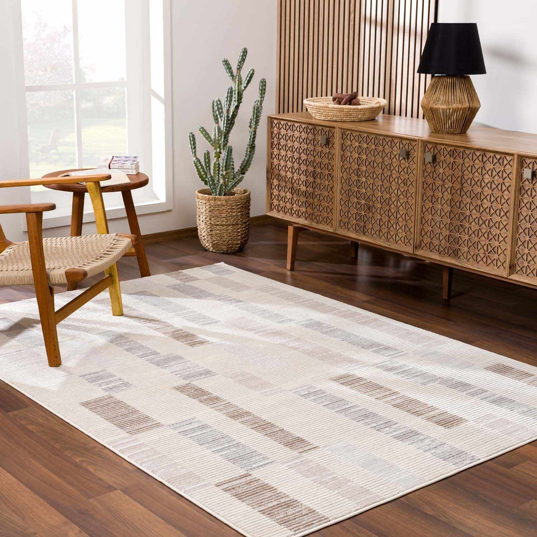 Chouko Contemporary Abstract Beige And Gray Rug - The Rug Decor