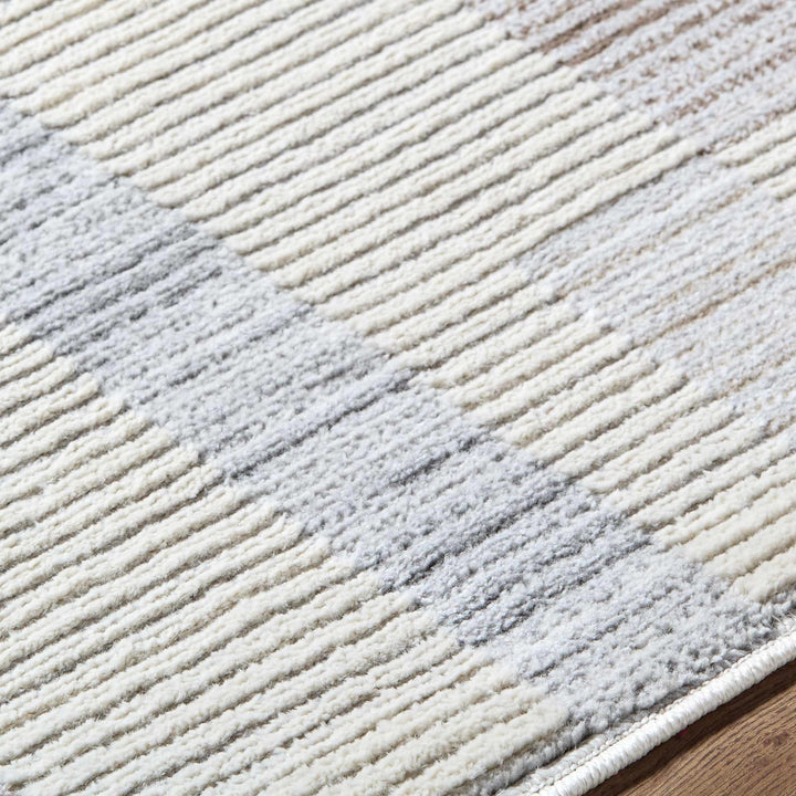 Chouko Contemporary Abstract Beige And Gray Rug - The Rug Decor