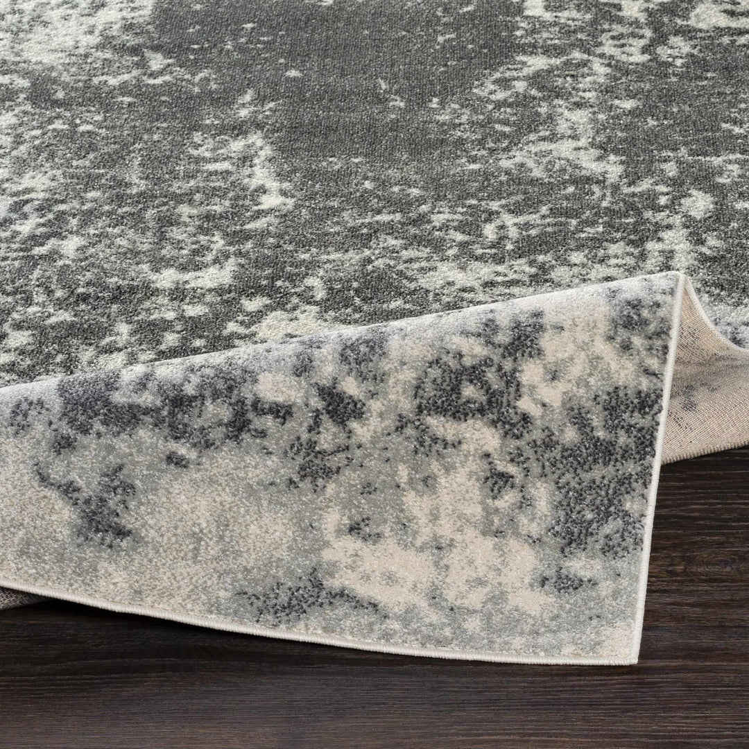 Chriesman Contemporary Abstract Gray And Black Rug - The Rug Decor