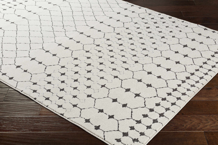 Chubbuck Modern Style Ivory And Charcoal Area Rug