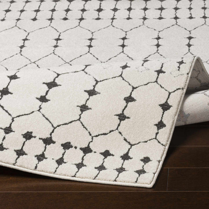 Chubbuck Modern Style Ivory And Charcoal Area Rug