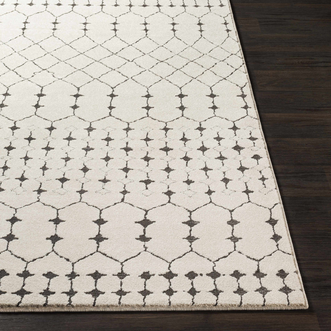 Chubbuck Modern Style Ivory And Charcoal Area Rug