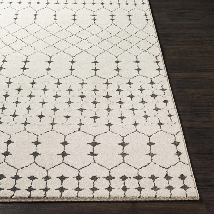 Chubbuck Modern Style Ivory And Charcoal Area Rug