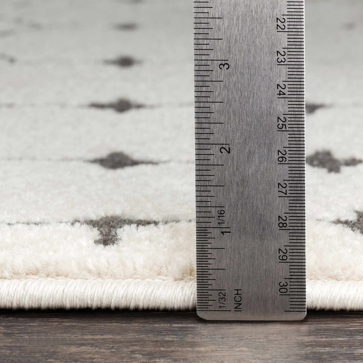 Chubbuck Modern Style Ivory And Charcoal Area Rug