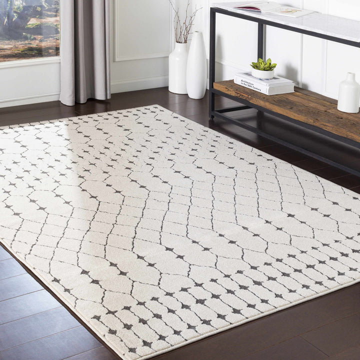 Chubbuck Modern Style Ivory And Charcoal Area Rug