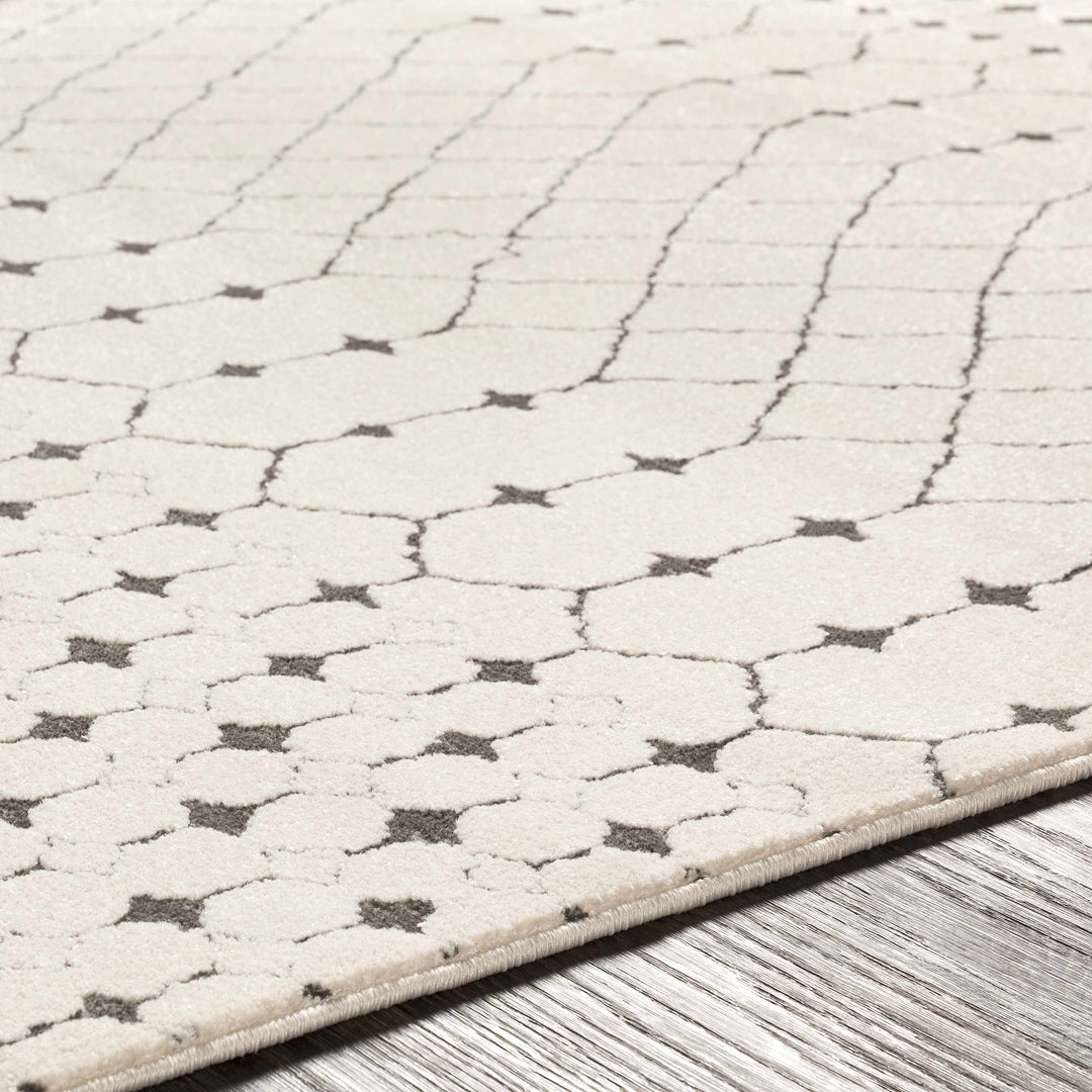 Chubbuck Modern Style Ivory And Charcoal Area Rug