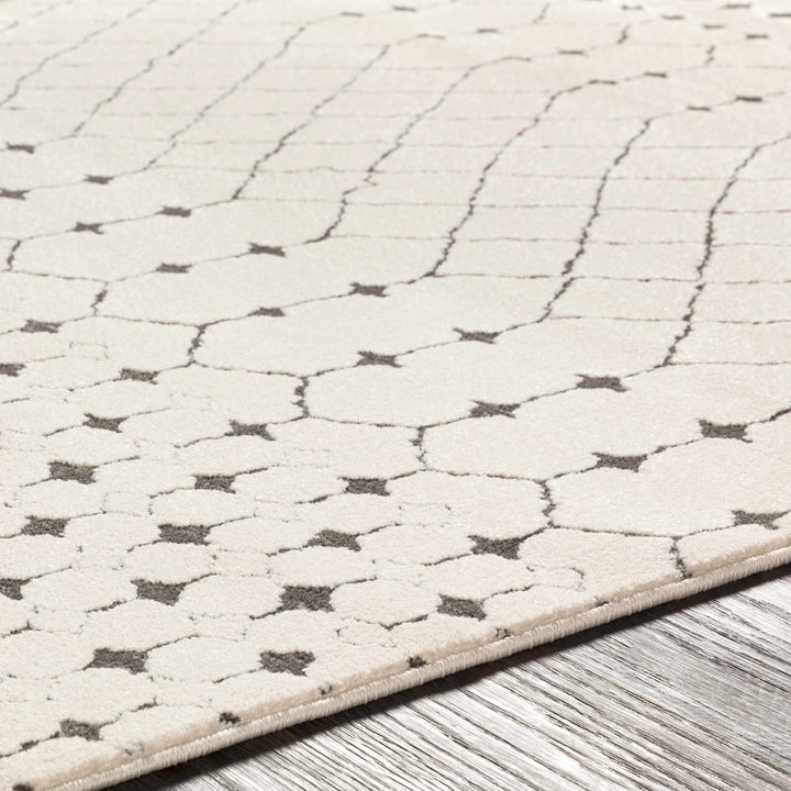 Chubbuck Modern Style Ivory And Charcoal Area Rug