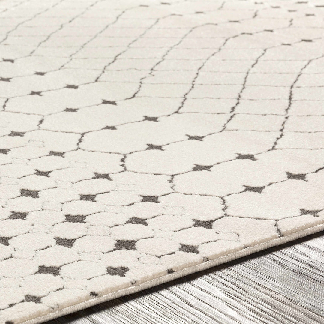 Chubbuck Modern Style Ivory And Charcoal Area Rug - The Rug Decor