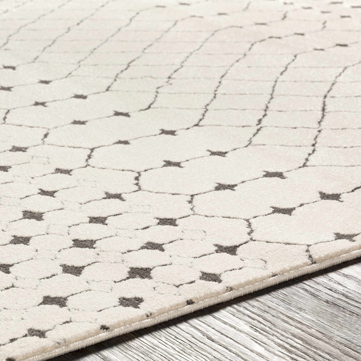 Chubbuck Modern Style Ivory And Charcoal Area Rug - The Rug Decor