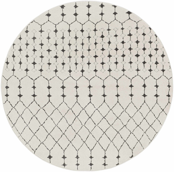 Chubbuck Modern Style Ivory And Charcoal Area Rug - The Rug Decor