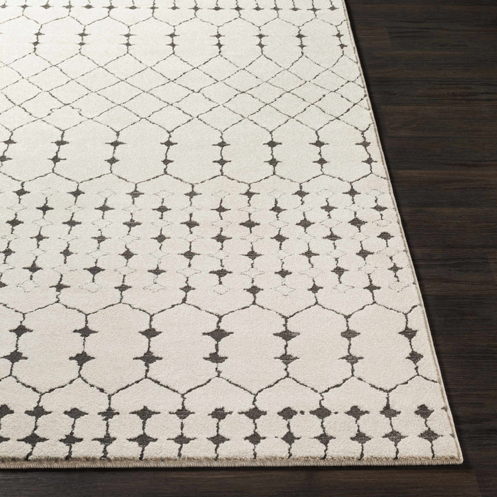 Chubbuck Modern Style Ivory And Charcoal Area Rug - The Rug Decor