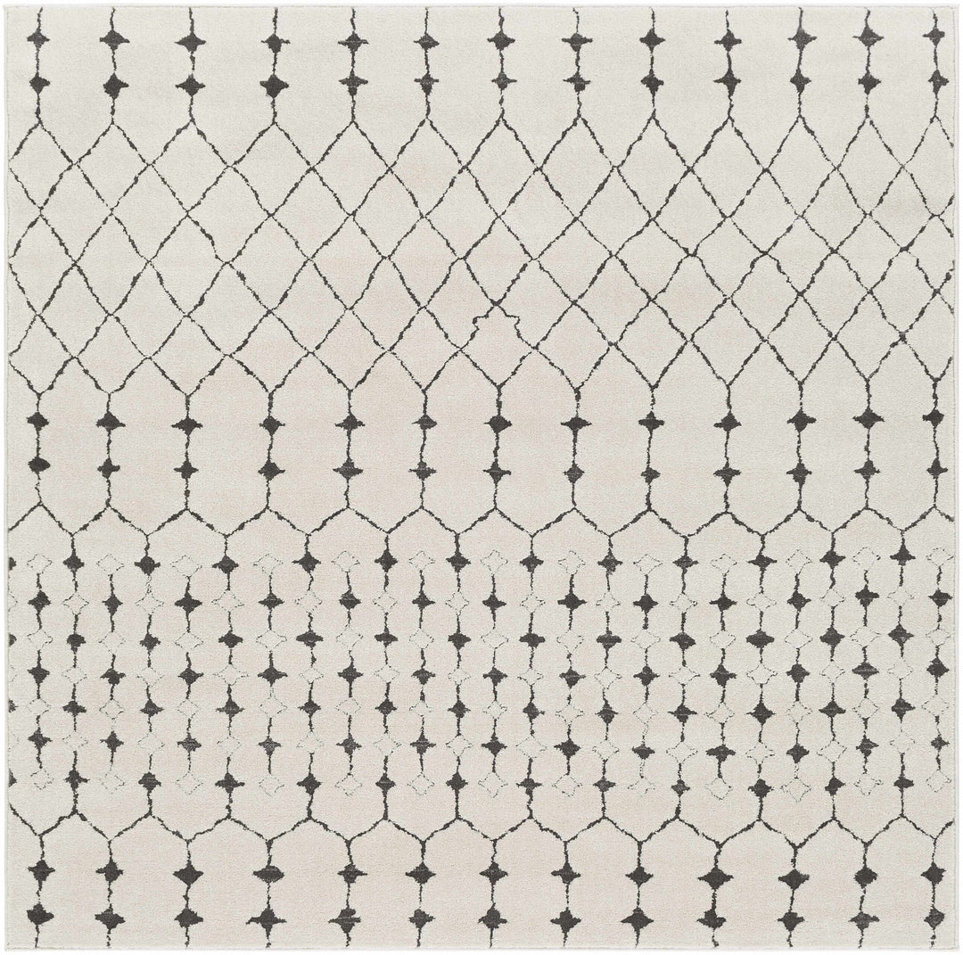 Chubbuck Modern Style Ivory And Charcoal Area Rug - The Rug Decor