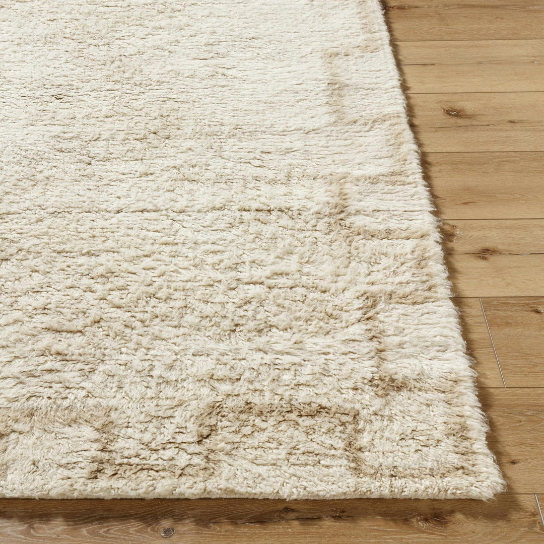 Ciniod Beige Modern Geometric Design Hand Tufted Area Rug - The Rug Decor