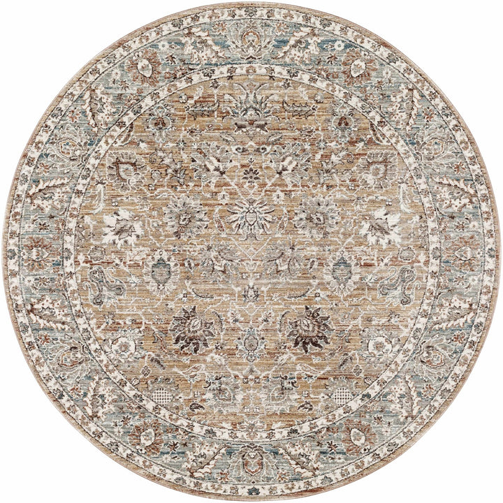 Civankan Traditional Brown And Gray Area Rug - The Rug Decor