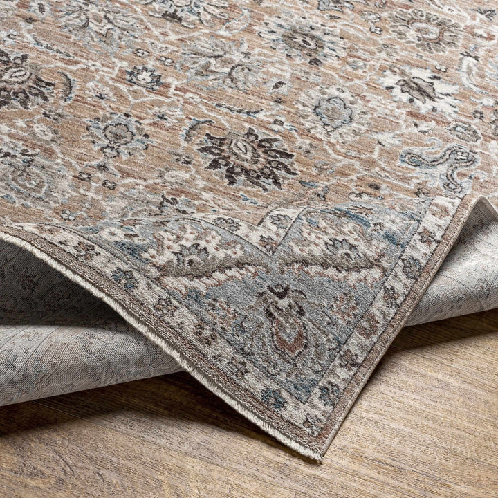 Civankan Traditional Brown And Gray Area Rug - The Rug Decor