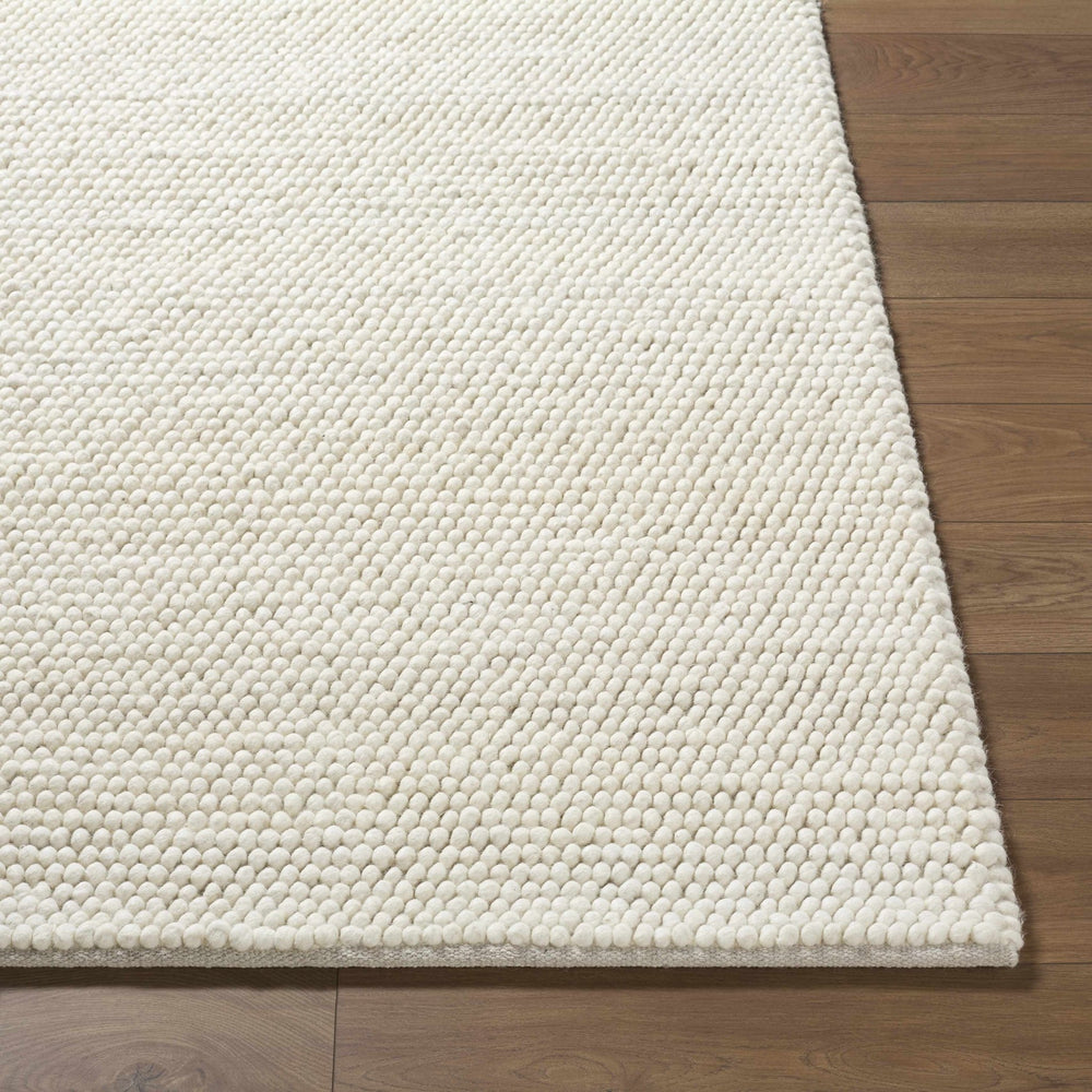 Clayne Bohemian Style Transitional Beige Hand Woven Wool Rug - The Rug Decor