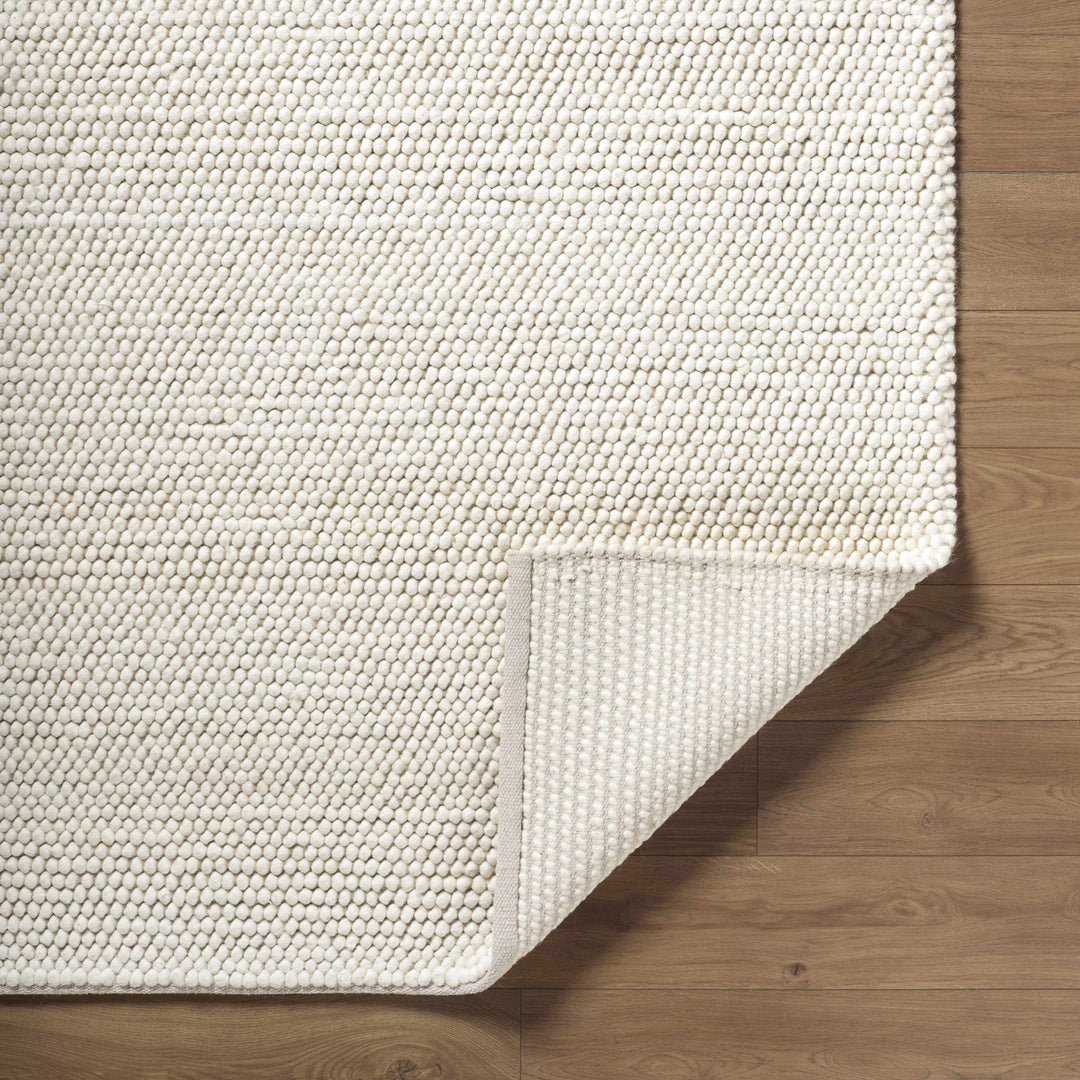 Clayne Bohemian Style Transitional Beige Hand Woven Wool Rug - The Rug Decor