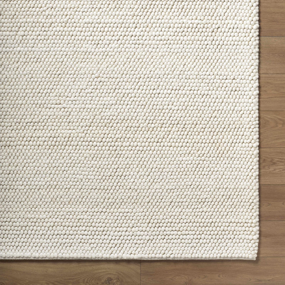Clayne Bohemian Style Transitional Beige Hand Woven Wool Rug - The Rug Decor