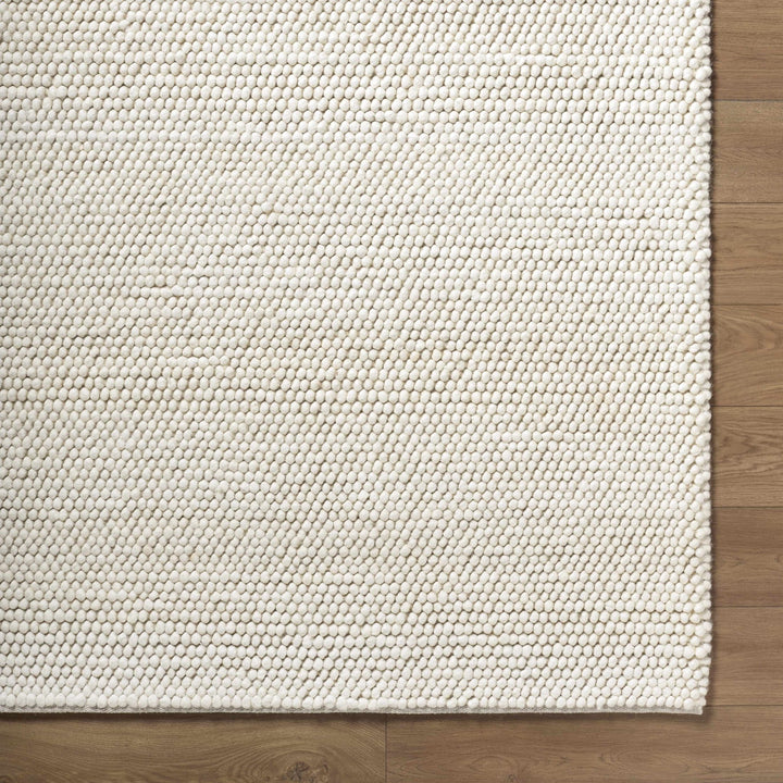 Clayne Bohemian Style Transitional Beige Hand Woven Wool Rug - The Rug Decor