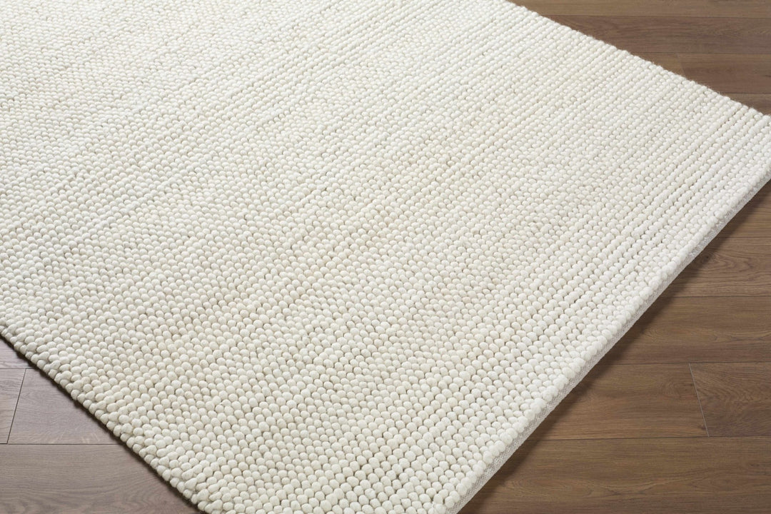 Clayne Bohemian Style Transitional Beige Hand Woven Wool Rug - The Rug Decor